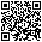 手机/微信访问网站